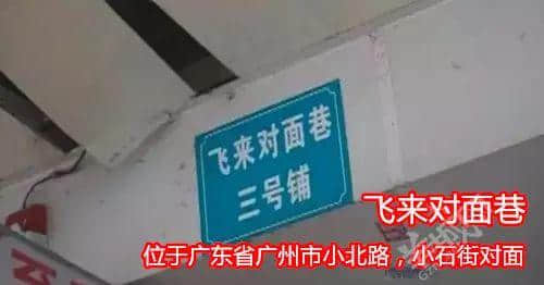 佛山新機(jī)場或命名為“珠西機(jī)場”？邊個(gè)起名咁“豬閪”！