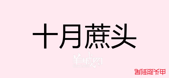 粵語問答比賽下半場，你夠唔夠生鬼幽默？！