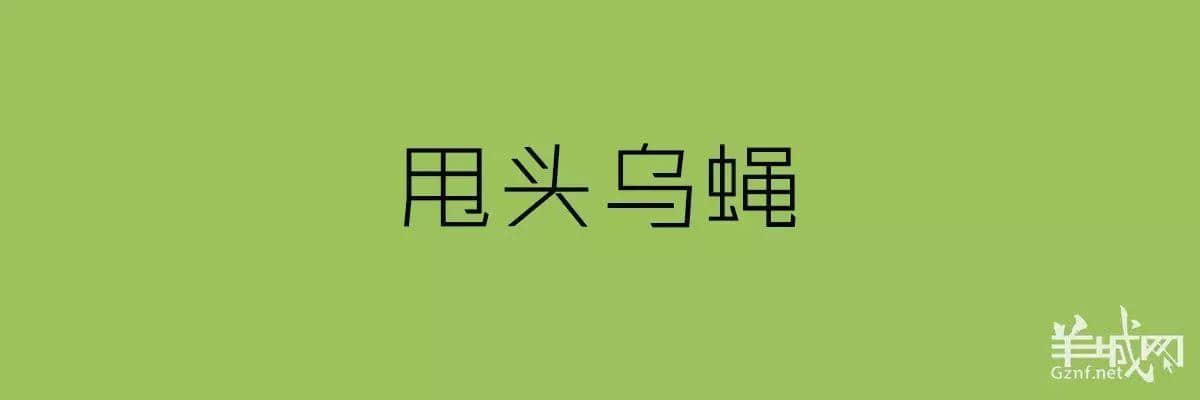 講粵語嘅人，最鐘意“指桑罵槐”！