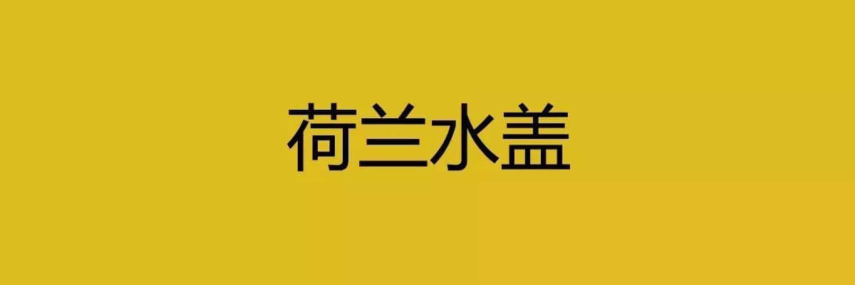 人生在世，總要識(shí)幾句古惑粵語(yǔ)