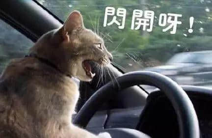 每個德藝雙馨嘅老司機，都有一段催人淚下嘅契弟時光