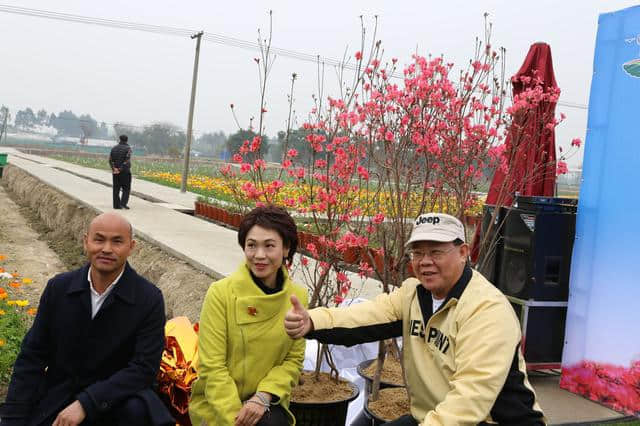 離廣佛最近的高山花海，情人節(jié)男朋友不帶你去就分手吧