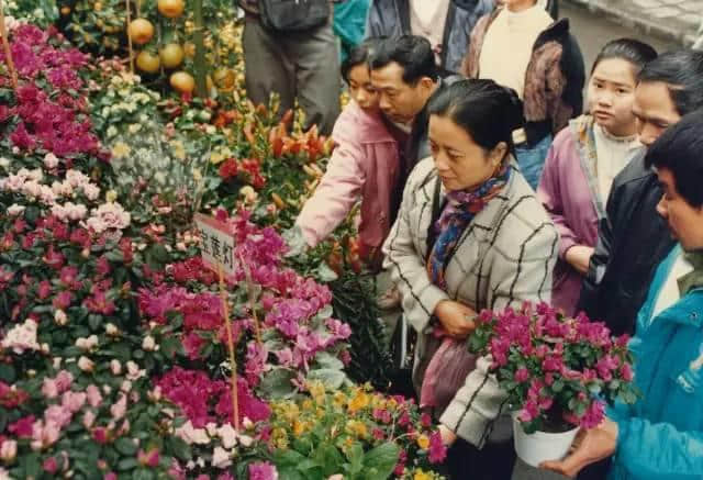 點解廣州人過年唔鐘意睇春晚？因為我哋鐘意行花街咯！