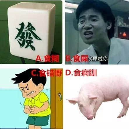 廣州人分分鐘誤會(huì)！你估下越南話“碌鳩”系乜意思？