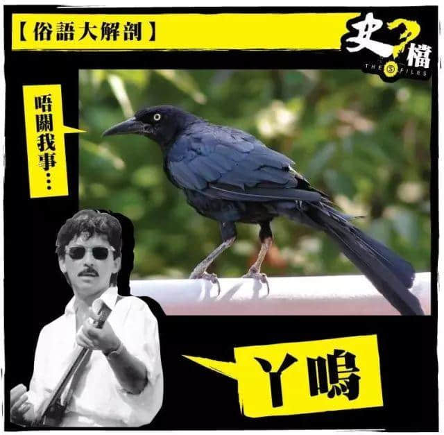 細(xì)個(gè)阿媽成日都話“丫嗚”婆嚟捉我，“丫嗚”究竟系乜嚟啊？