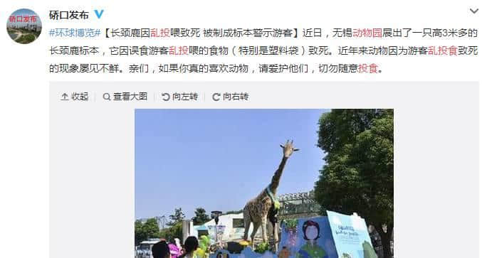 動物園游客不文明行為之最，呢種貌似“善意”嘅行為害死唔少動物！