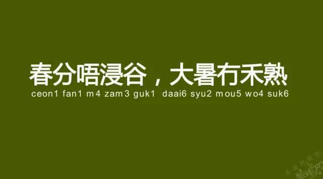 廣州老司機(jī)帶路，令你行少幾條彎路