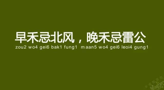 廣州老司機(jī)帶路，令你行少幾條彎路