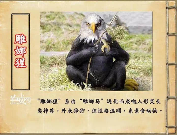 如果JK羅琳系廣州人，《神奇動物在哪里》至少出7集！