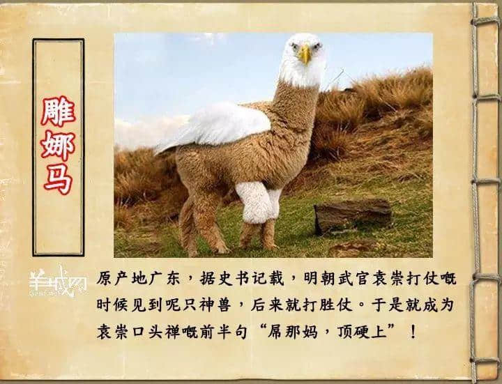 如果JK羅琳系廣州人，《神奇動物在哪里》至少出7集！