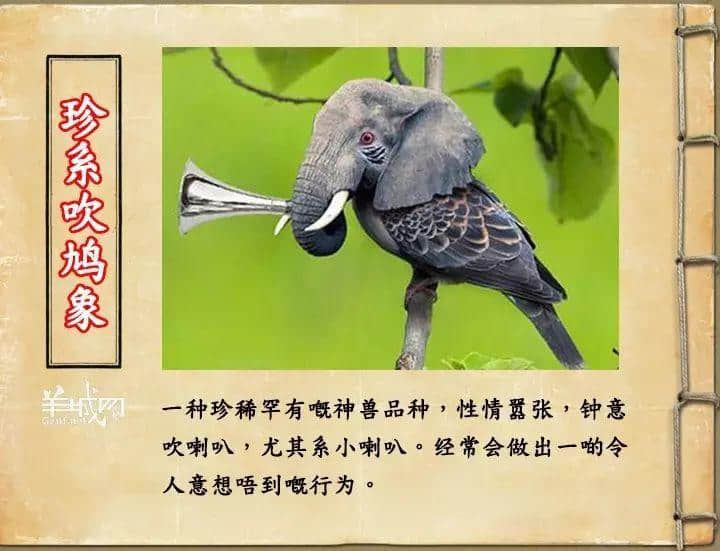 如果JK羅琳系廣州人，《神奇動物在哪里》至少出7集！