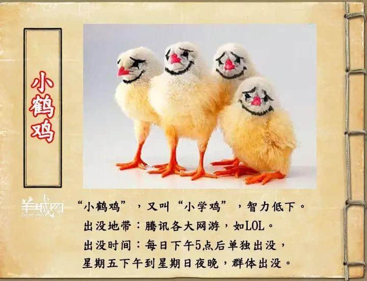 如果JK羅琳系廣州人，《神奇動物在哪里》至少出7集！