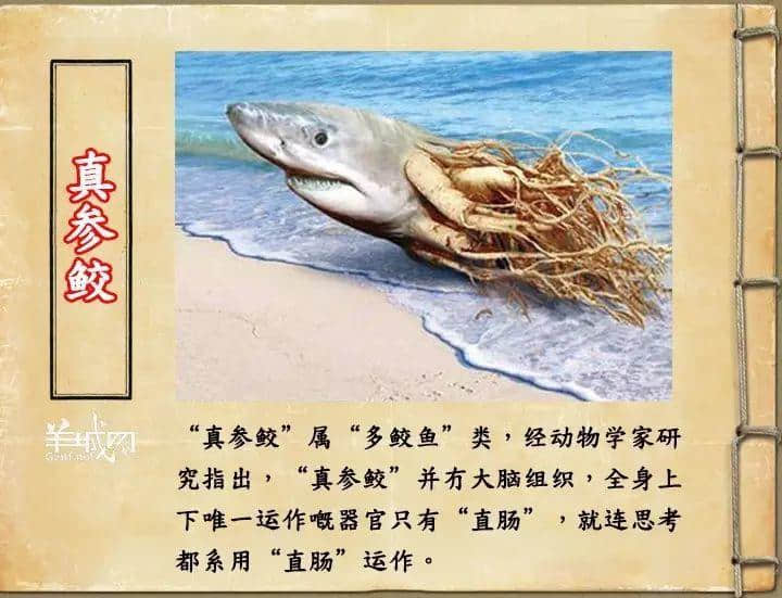 如果JK羅琳系廣州人，《神奇動物在哪里》至少出7集！