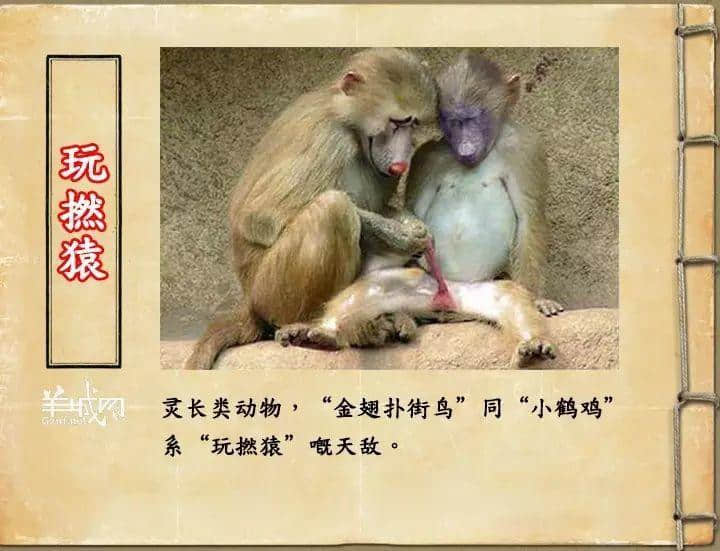 如果JK羅琳系廣州人，《神奇動物在哪里》至少出7集！