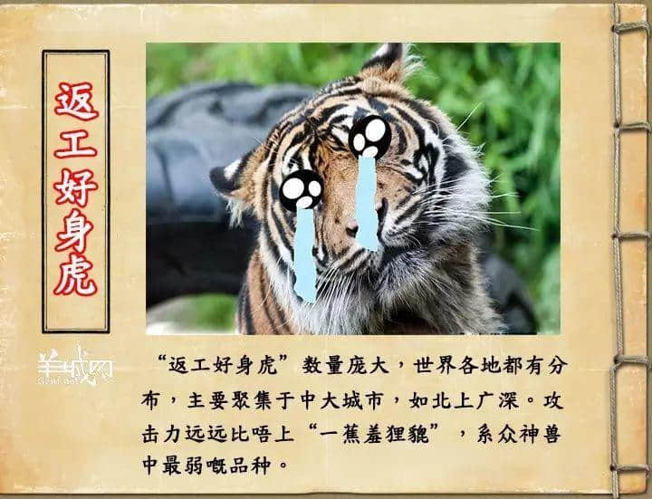 如果JK羅琳系廣州人，《神奇動物在哪里》至少出7集！