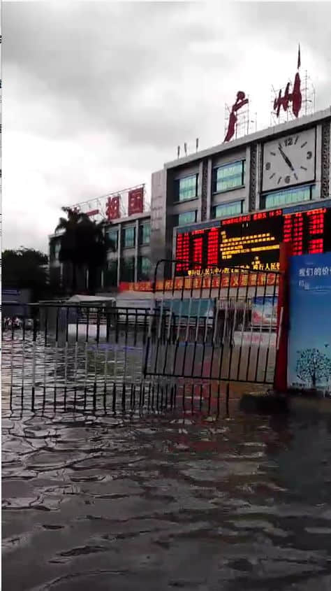 我們實名要求將今日定為“廣州海洋日”