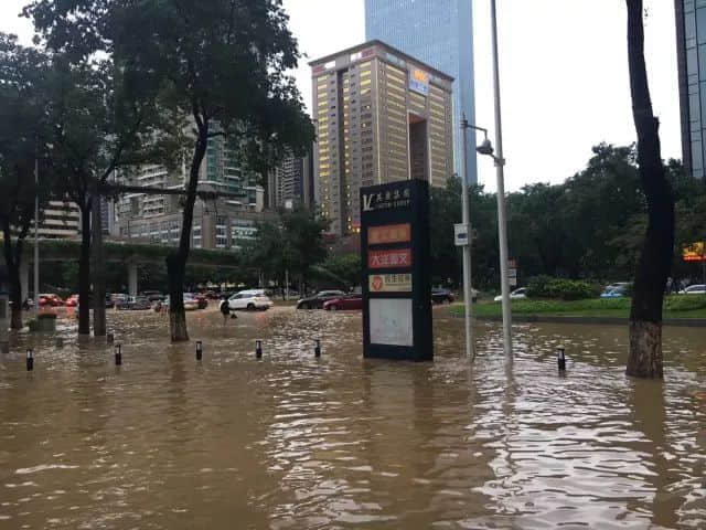 我們實名要求將今日定為“廣州海洋日”