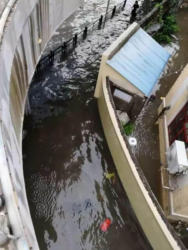 我們實名要求將今日定為“廣州海洋日”