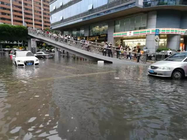 我們實名要求將今日定為“廣州海洋日”