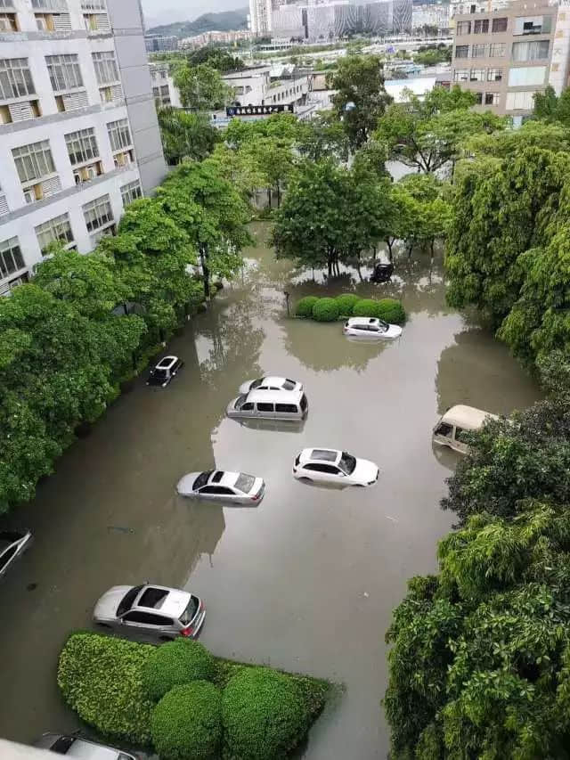 我們實名要求將今日定為“廣州海洋日”