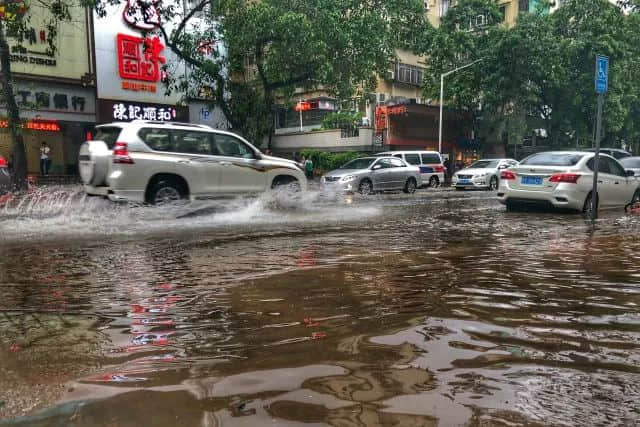 我們實名要求將今日定為“廣州海洋日”