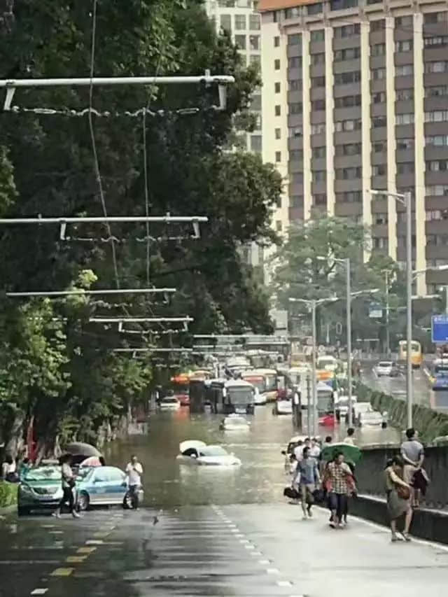 我們實名要求將今日定為“廣州海洋日”