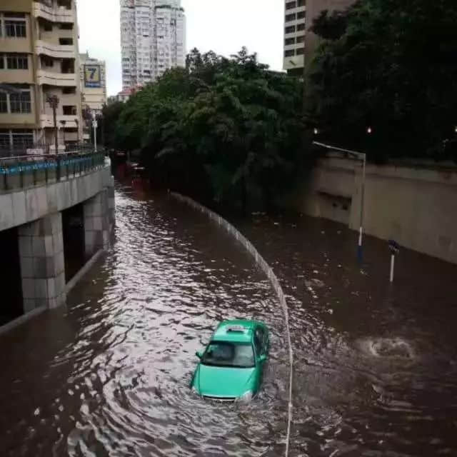 落湯雞一樣嘅廣州人，仲比唔上一條魚