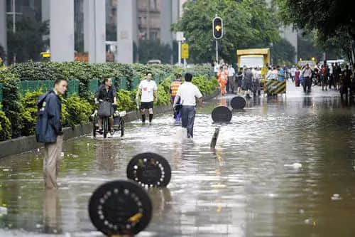 落湯雞一樣嘅廣州人，仲比唔上一條魚