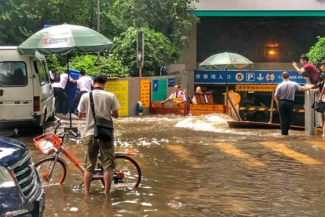 落湯雞一樣嘅廣州人，仲比唔上一條魚