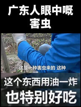 地表最兇殘物種：沒有感情的廣東人