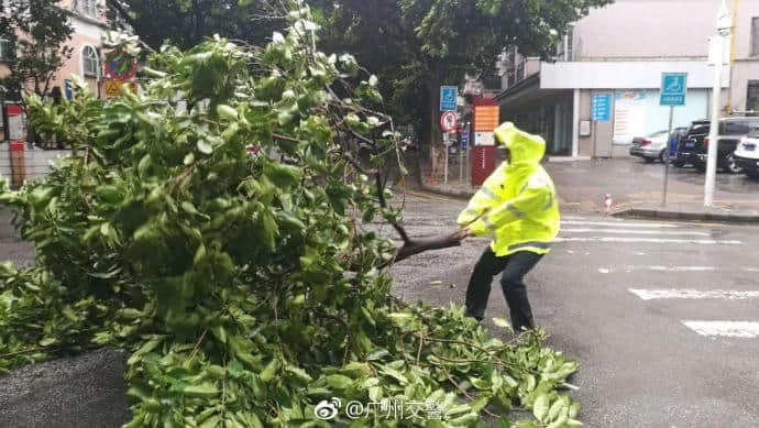 一個(gè)臺(tái)風(fēng)山竹，令我看清廣東人的真面目！