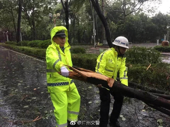 一個(gè)臺(tái)風(fēng)山竹，令我看清廣東人的真面目！