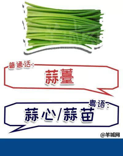 系唔系正宗廣府人，行個(gè)街市就知道曬！