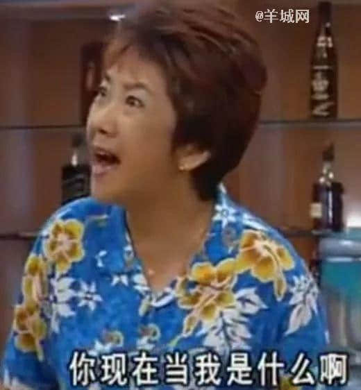 確認過表情包，都是看《外來媳婦本地郎》長大的人！