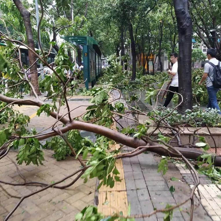 天南地北的“千禧之子”眼中，廣州是怎樣的？