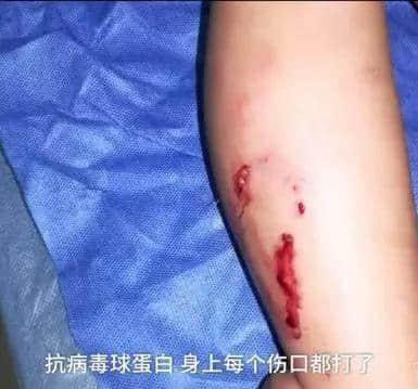 @廣州人，你是個(gè)合格的狗主人嗎？