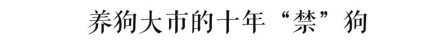 @廣州人，你是個(gè)合格的狗主人嗎？