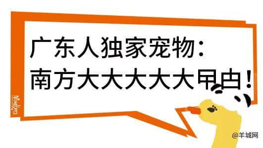 廣州，一座靠天氣上熱搜嘅佛系城市｜一句話神總結(jié)廣州