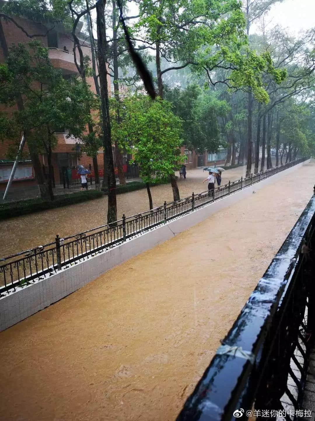 熱烈慶祝，廣州暴雨+熱搜包月套餐生成！