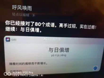 因?yàn)樾滦头窝讗灥桨l(fā)毛嘅廣東人，如何喺屋企解悶？