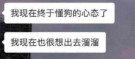 因?yàn)樾滦头窝讗灥桨l(fā)毛嘅廣東人，如何喺屋企解悶？