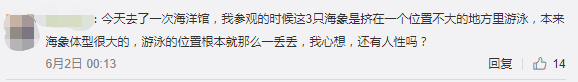 繼“最悲傷北極熊”后，正佳海洋世界又現(xiàn)“海象行商場”？