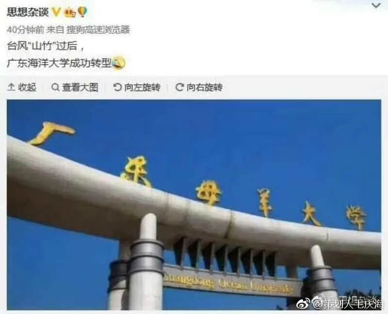 在湛江，我們找回廣州失去的隱秘角落