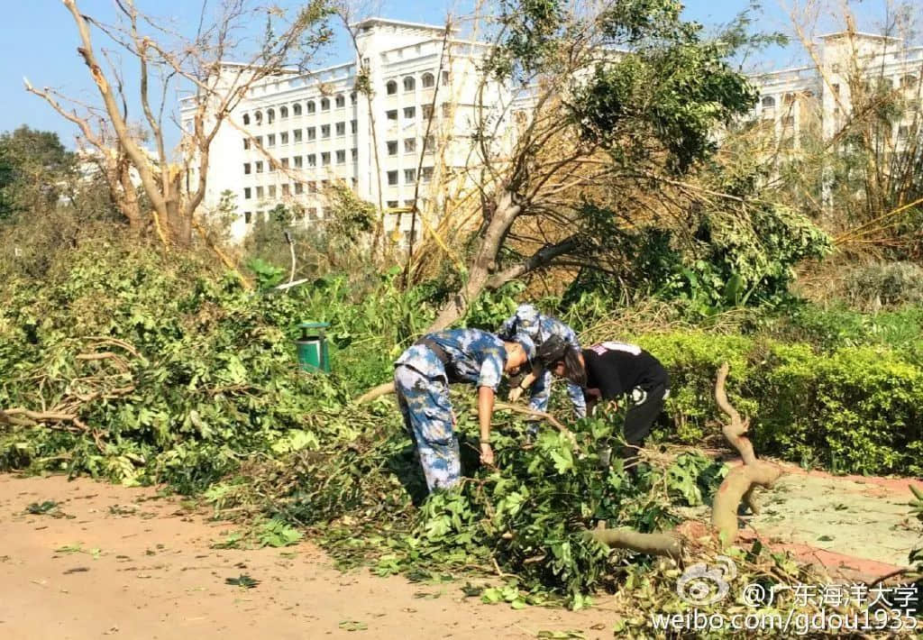 在湛江，我們找回廣州失去的隱秘角落