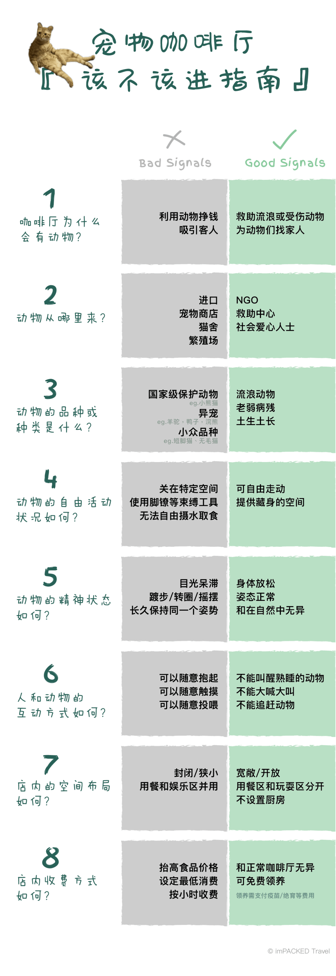 在廣州享受著997福報(bào)的阿貓阿狗：治愈還是致郁？