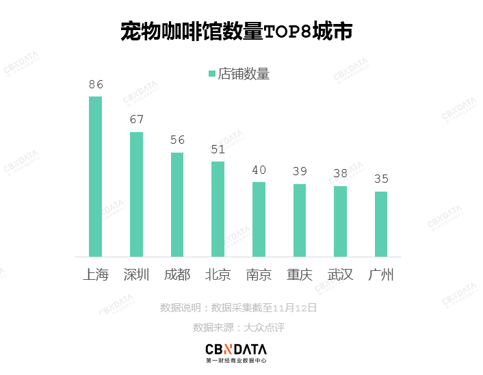 在廣州享受著997福報(bào)的阿貓阿狗：治愈還是致郁？