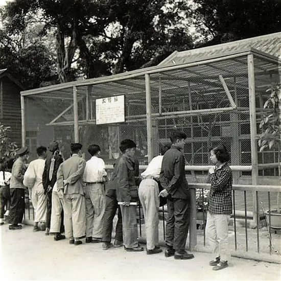 廣州動(dòng)物園，這次真的要非搬不可了嗎？