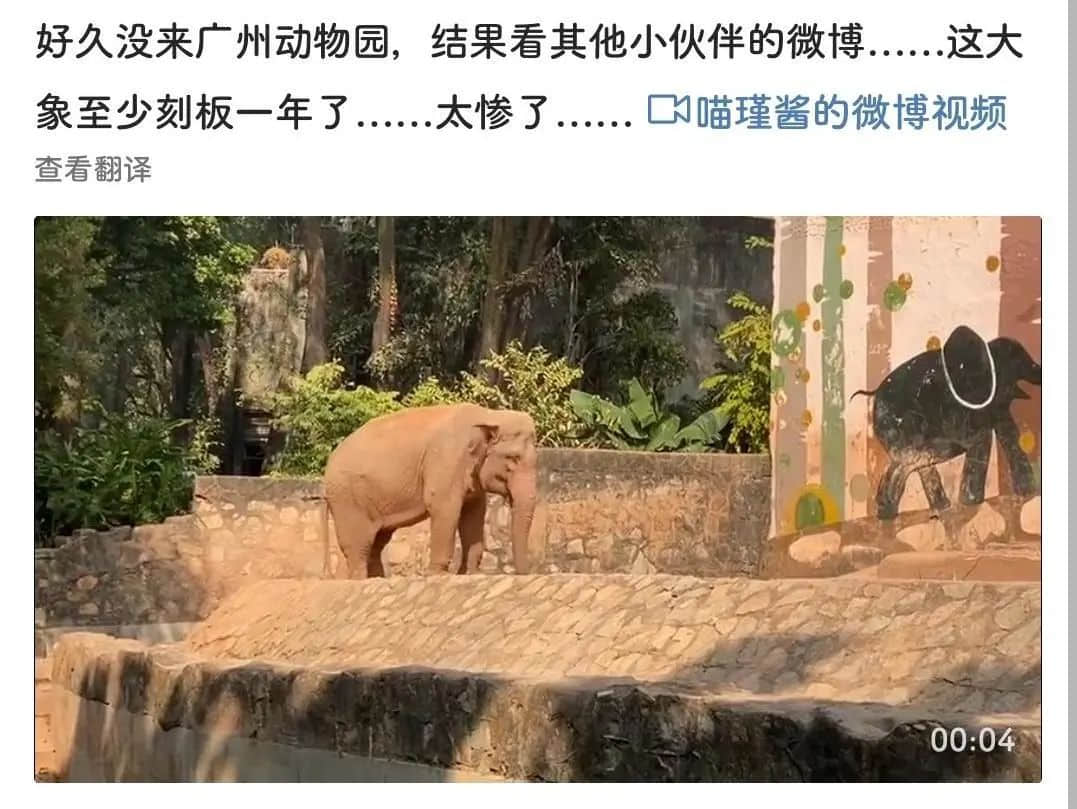 廣州動(dòng)物園，這次真的要非搬不可了嗎？