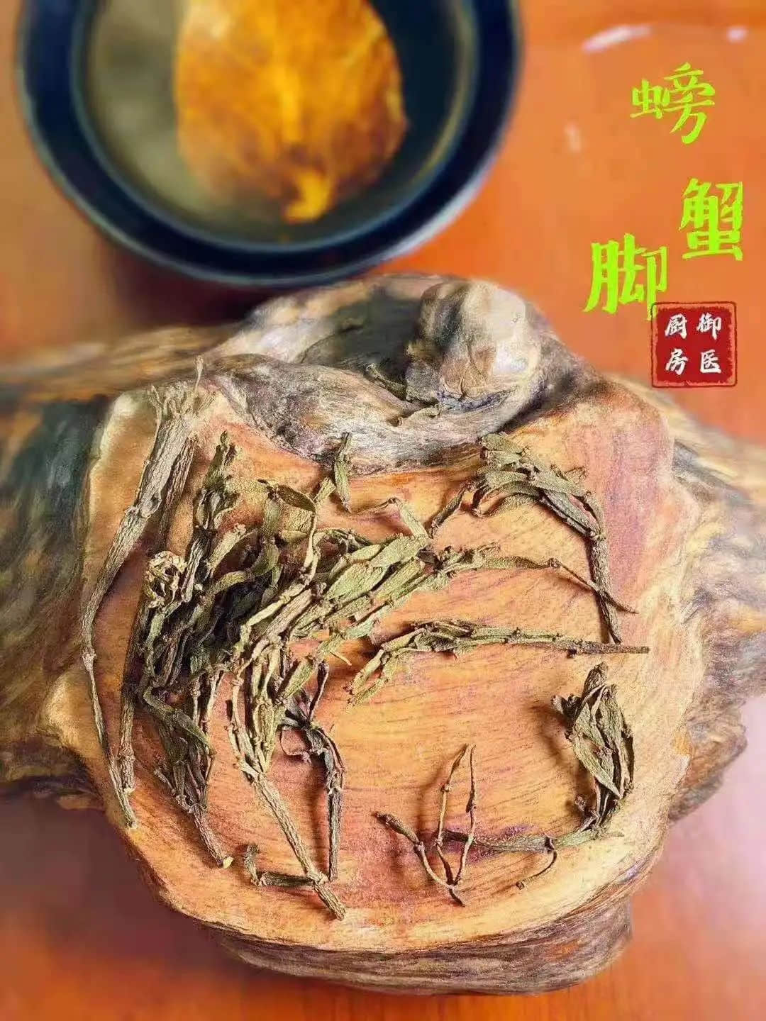 驚蟄，為何身邊的蛇蟲鼠蟻多了起來？