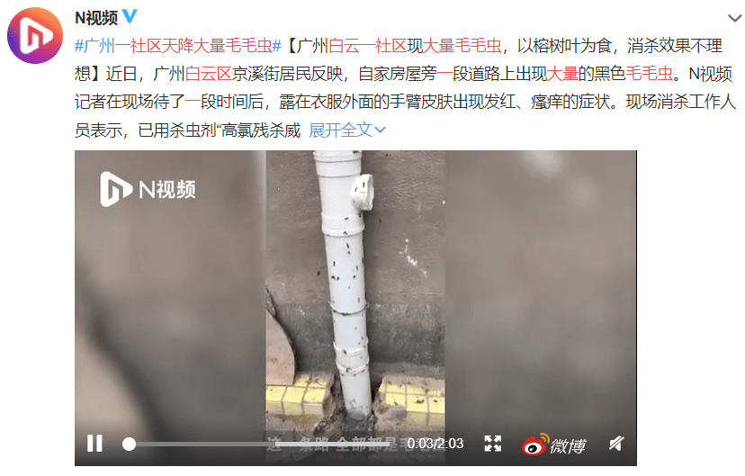 疫情總會(huì)消退，但被殺死的榕樹卻再也回不來